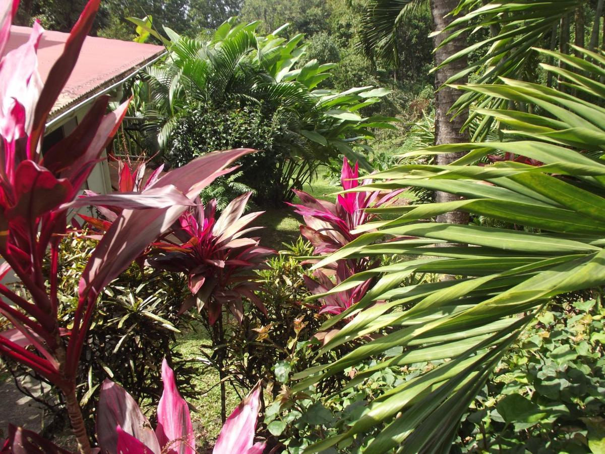 فيلا Les Jardins De L'Esperance بويانت المظهر الخارجي الصورة