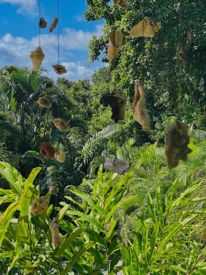 فيلا Les Jardins De L'Esperance بويانت المظهر الخارجي الصورة